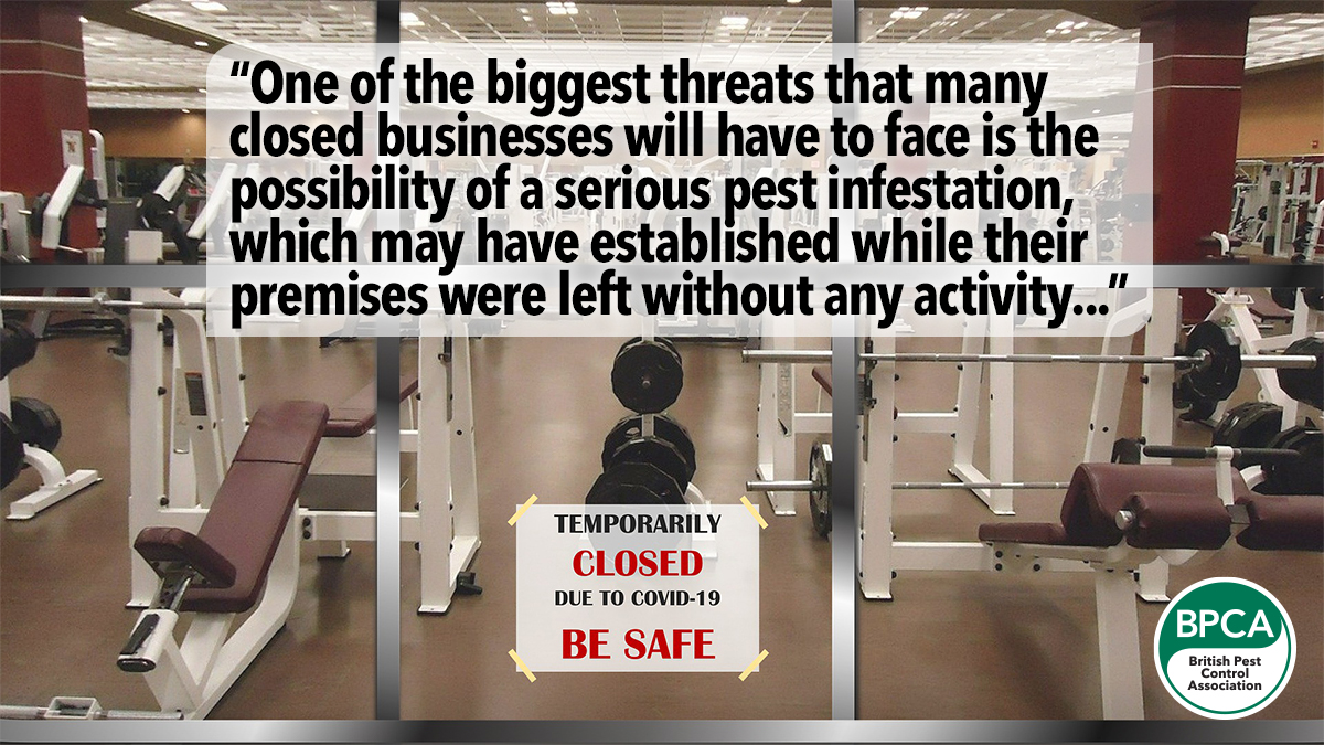 impact-of-lockdown-on-pests impact-of-lockdown-on-pests